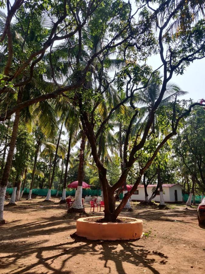 Sereno Farms Hotel Alibag Exterior photo