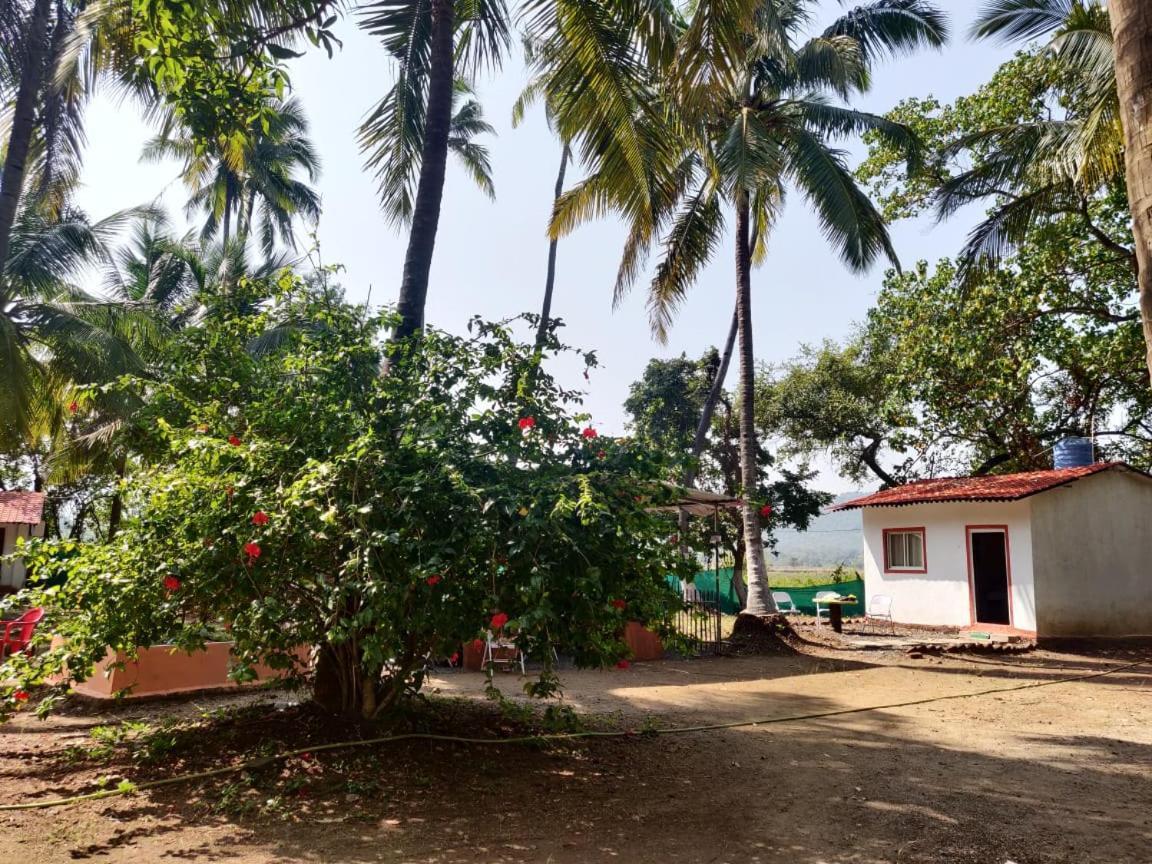 Sereno Farms Hotel Alibag Exterior photo